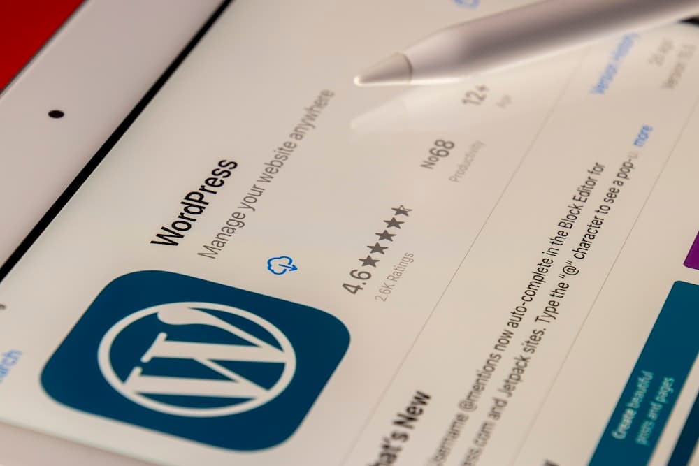Formation WordPress à Antibes