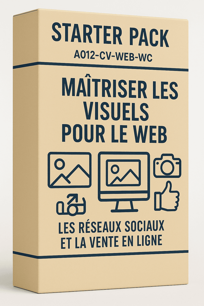 Maîtriser Canva pour le web, les réseaux sociaux et la vente en ligne
